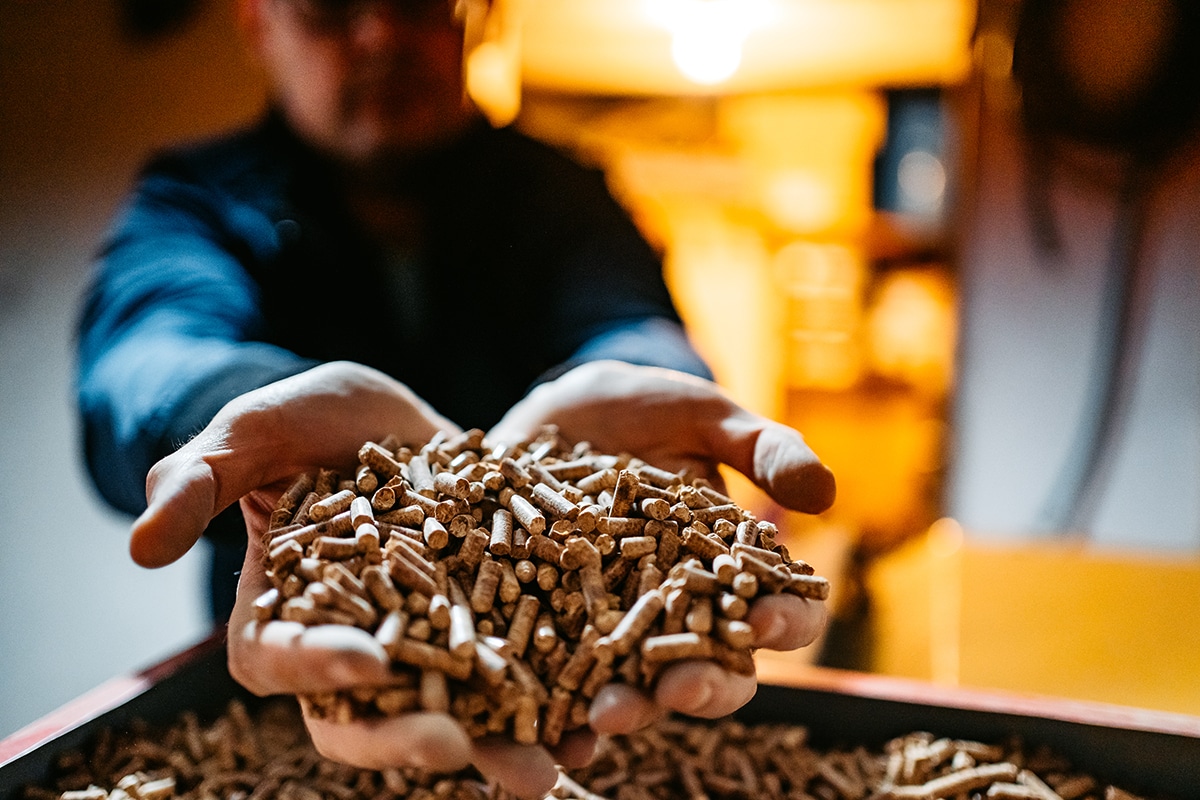 Biomass wood pellets